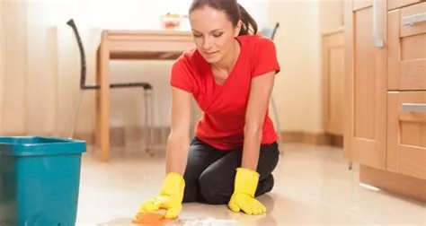 Funderar du på att anlita ett hembiträde att städa hemma hos dig?